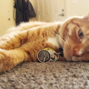 Meet your Posher, Jayme